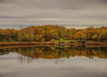 Vassilis Spanoulis slams Monaco management amid money troubles – BasketNews.com