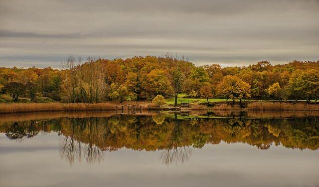 Vassilis Spanoulis slams Monaco management amid money troubles – BasketNews.com