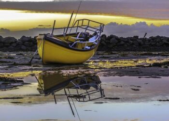 Guernsey regulator encourages use of AI to enhance efficiency in financial services – International Adviser