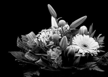 Gebrüder Weiss Bulgaria leadership shifts as Marieta Grigorova hands over to Lyudmil Elshishki – GetTransport.com