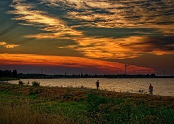 AI fellows join the UK Government to modernise public services – Open Access Government