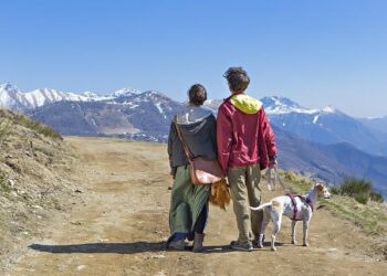 Germany’s far right bangs at the gates to get into the Munich Security Conference – politico.eu