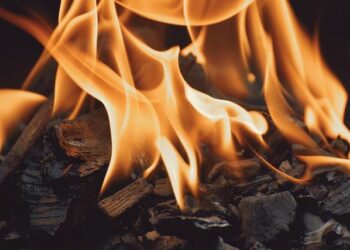 Hot Water “Blob” Causes Harm to Wildlife in the Pacific Northwest – discovery.com