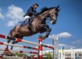 Show Jumping Association of Ireland row to go to mediation – The Irish Times