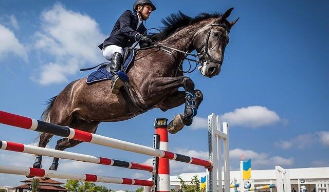 Show Jumping Association of Ireland row to go to mediation – The Irish Times