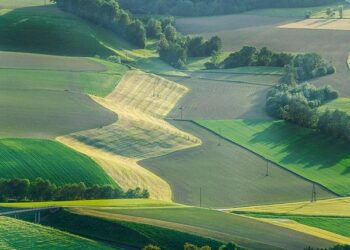 Russian Exports Of Grain To Armenia & Georgia Via Azerbaijan Increase – russia’s pivot to asia