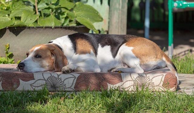 Estonians are lonely – and it affects them – Estonian World