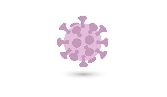 The number of people infected with the flu in Macedonia decreases – Telegrafi