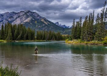 National reports on scientific and digital literacy: an essential diagnosis for the Romanian education system – Unicef