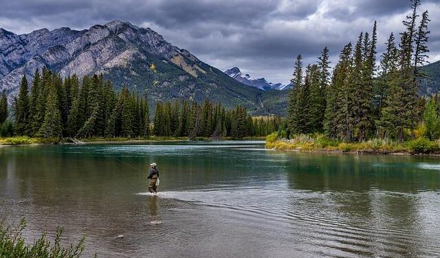 National reports on scientific and digital literacy: an essential diagnosis for the Romanian education system – Unicef