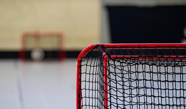 Finland-Canada women’s ice hockey game postponed due to virus at Milan-Cortina 2026 – Xinhua