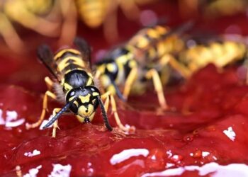 German industrial orders post biggest increase in two years – Reuters