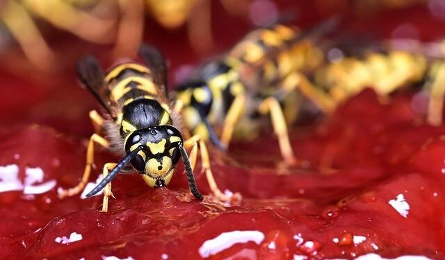 German industrial orders post biggest increase in two years – Reuters