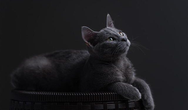 Body of Russian businessman once detained in Belarus found on Cyprus beach – AOL.com