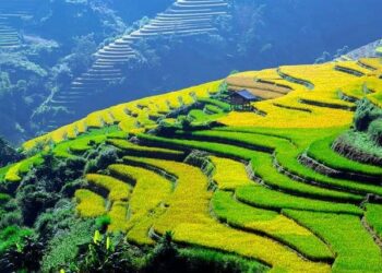 Propaganda blindness is sweeping across Lithuania – opinion – LRT