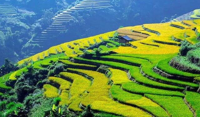 Propaganda blindness is sweeping across Lithuania – opinion – LRT