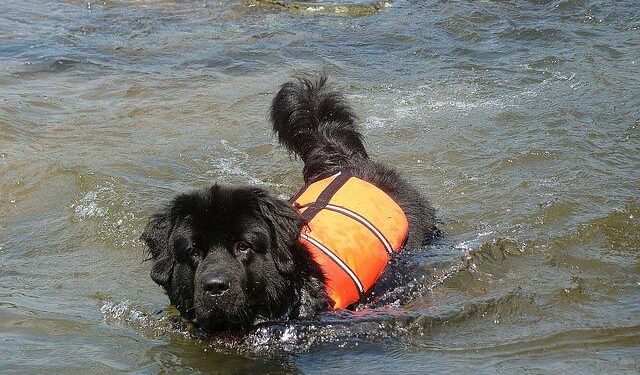 Rescuers search for woman swept away by river as Spain and Portugal battle Storm Leonardo – ABC News