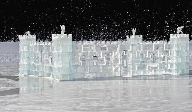 Former Canadiens Forward Was Flag Bearer For Slovakia – The Hockey News