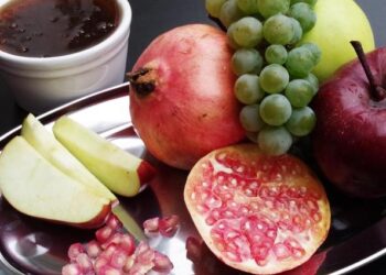 Israeli embassy attackers sentenced to jail in Denmark – The Jerusalem Post