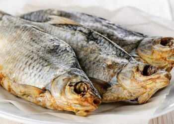 Papa Roach Announce UK & Ireland Tour – TotalNtertainment