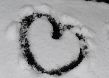 Safeguarding Rights in the Digital Age: Joint Efforts to Guide Responsible AI Use in Bosnia and Herzegovina – United Nations Development Programme