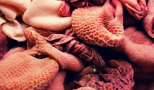 Who is Rumen Radev, the ex-president vowing to end Bulgaria’s political crisis? – Reuters