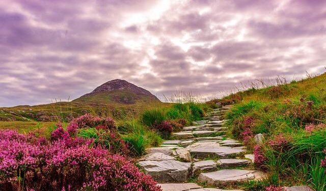 Ireland and Scotland gorged on project players – now it is coming home to roost – The Telegraph