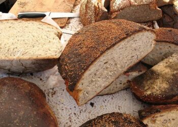 Latvia to showcase ambitious animations and auteur continuity at the EFM – Cineuropa