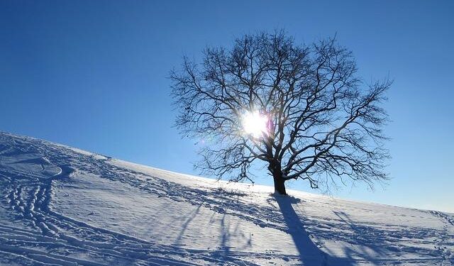 Winter Olympics: Slovakia – Finland (Ice Hockey) – Reuters Connect