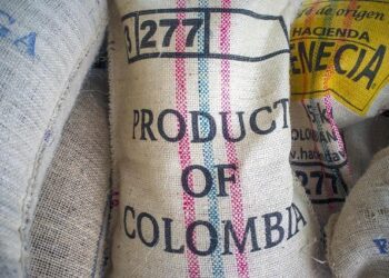 How will Türkiye position itself as global textile trade is reshaped? – textilegence.com