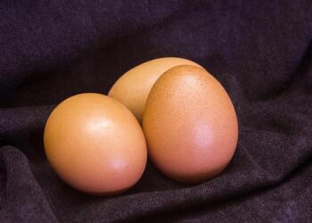 France to contact 29-year-olds about fertility – CNN