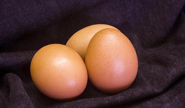 France to contact 29-year-olds about fertility – CNN