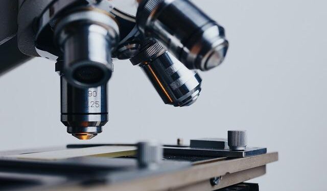 Women-only Freeride clinic a success at FIS World Champs in Andorra – FIS