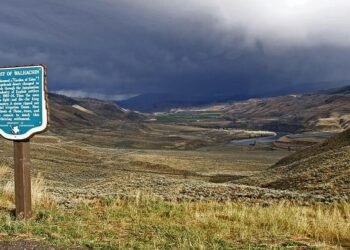 Tage Thompson’s post-game interview vs. Team Latvia – NHL.com