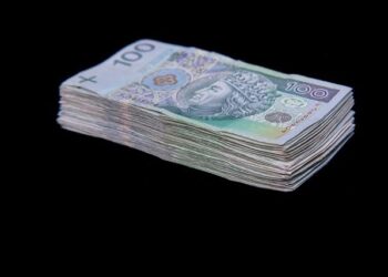 Poland’s $1 Trillion Economy Flexes Its Muscle in Germany – Bloomberg.com