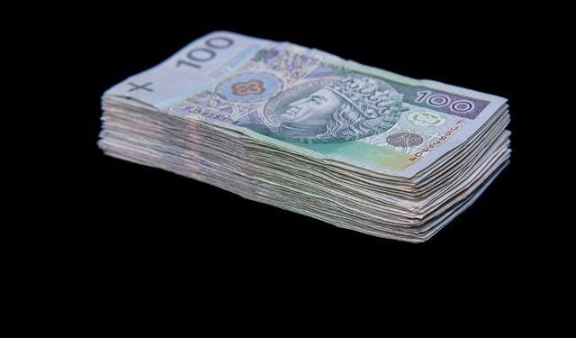 Poland’s $1 Trillion Economy Flexes Its Muscle in Germany – Bloomberg.com