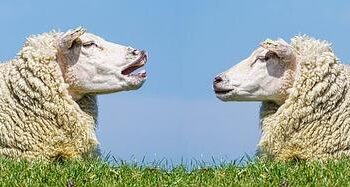 PEDOPHILE ARRESTED IN NEW BELGRADE: He touched himself on his private parts in front of children, then beat a boy with a pole! – Serbiantimes.info