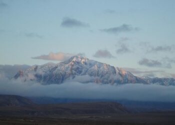 ‘Selling in Germany requires consumer-oriented approach’ – Ecommerce News – Europe