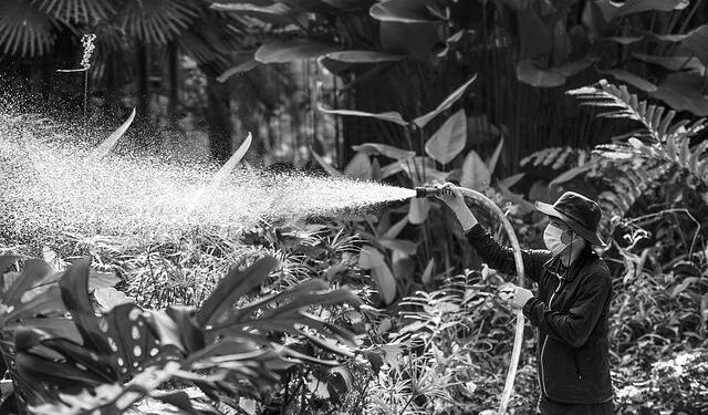 Worker dies at Taseko copper mine northeast of Williams Lake, B.C. – CBC