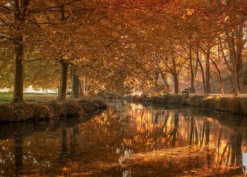 Alex de Minaur defeats Felix Auger-Aliassime to win first indoor title of career in Rotterdam – Tennis.com