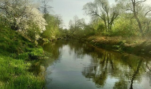 OKX Secures Malta Payment License After MiCA Approval and €1 Million AML Penalty – Finance Magnates