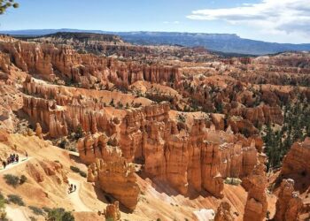 Takeaways: U.S. survives Swayman’s shaky start, Slovakia wins despite loss – Sportsnet