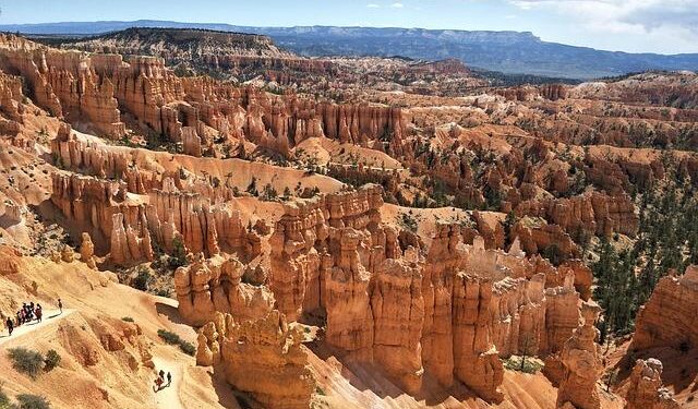 Takeaways: U.S. survives Swayman’s shaky start, Slovakia wins despite loss – Sportsnet