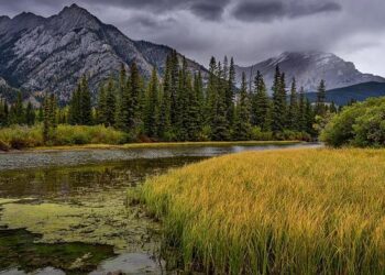 Foreign nationals detained in Georgia for attempting to purchase nuclear and radioactive materials – Apa.az