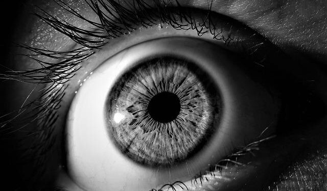 News Digest: Foreign Media on Tokayev’s Global Vision, Olympic Gold, Asian Winter Games and More – The Astana Times