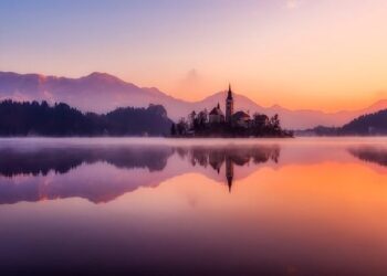 Missionaries in Slovenia dedicate service reflecting allegory of the olive tree – Church News