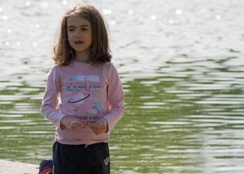 Switzerland (CHE) Exports, Imports, and Trade Partners | The Observatory of Economic Complexity – The Observatory of Economic Complexity