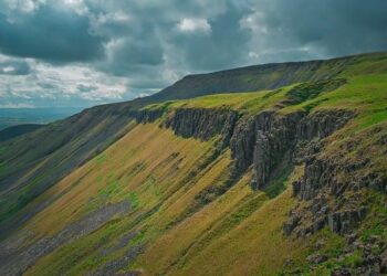 Ragged England undone by Ireland’s greater desire and intent – Reuters