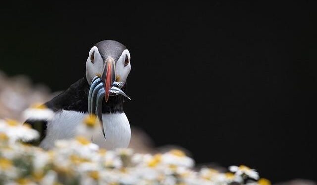 United Kingdom, France, Netherlands, Ireland, and Spain Face Airport Chaos with Hundreds of Flights Canceled Due to Severe Winter Storms: Why You Need to Know About It NOW! – Travel And Tour World