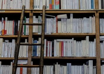 Commission adopts proposals for the signing, provisional application and conclusion of EU-UK Agreement in respect of Gibraltar – The European Sting